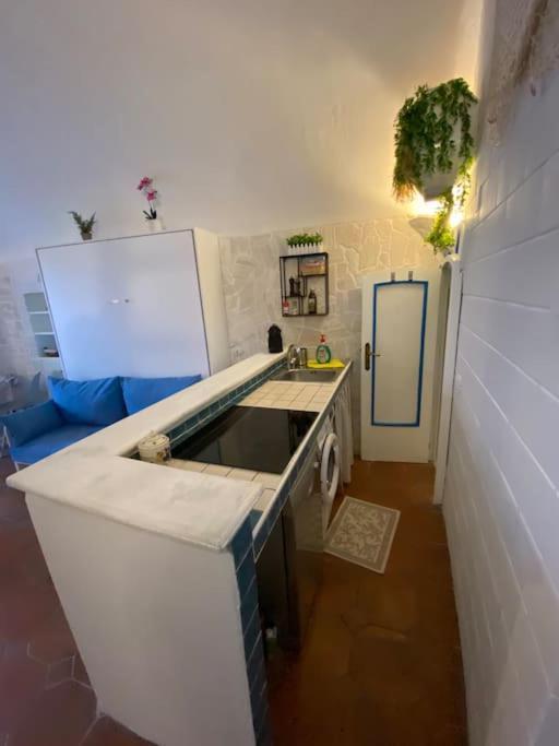 Apartmán Mono Judeca By Garganoin Vieste Exteriér fotografie